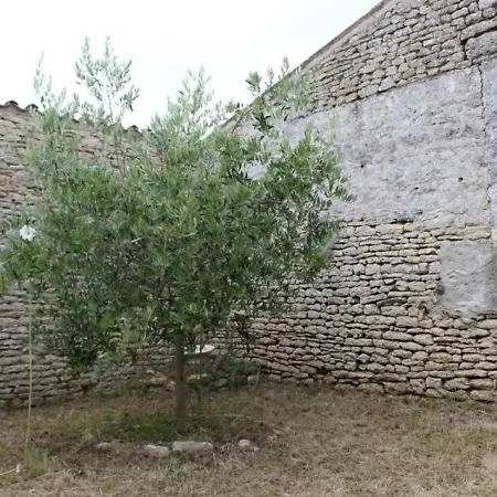 Semesterbostad Superbe Maison De Maitre Au Calme - 18 Pers. - Fr-1-246a-61 Saint-Georges-d'Oleron