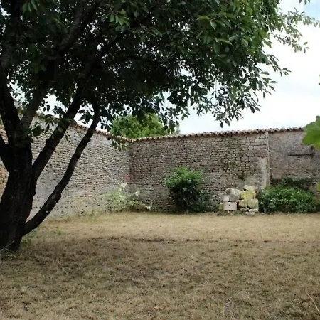 Maison De Maitre A Saint-Georges-D'Oleron - 18 Couchages - Animaux Admis - Fr-1-246A-61