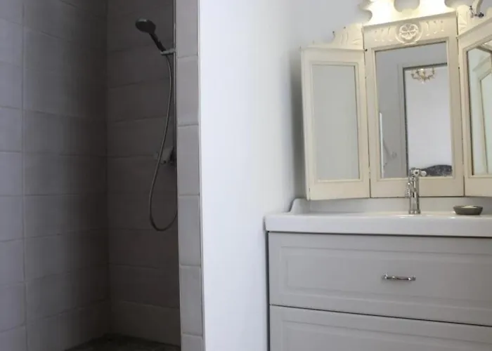 Maison De Maître à Saint-georges-d'oléron - 18 Couchages - Animaux Admis - Fr-1-246a-61 Hébergement de vacances