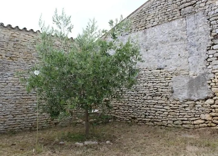 Hébergement de vacances Maison De Maître à Saint-georges-d'oléron - 18 Couchages - Animaux Admis - Fr-1-246a-61 Saint-Georges-d'Oleron