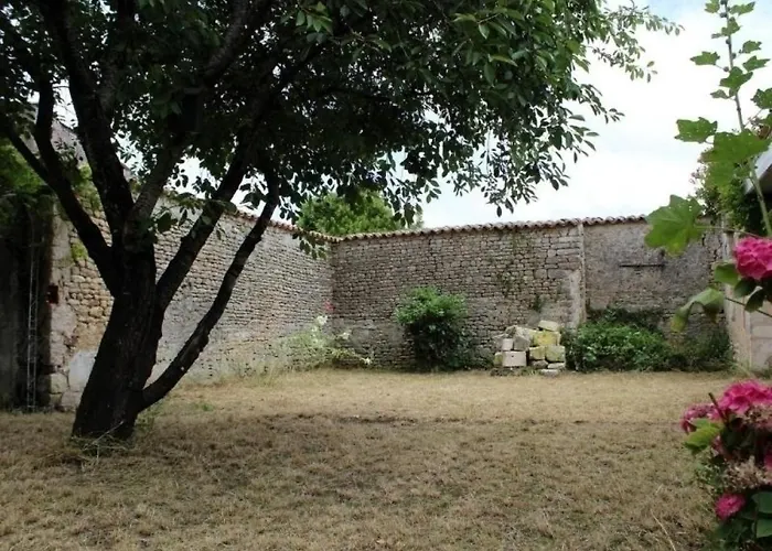 Maison De Maître à Saint-georges-d'oléron - 18 Couchages - Animaux Admis - Fr-1-246a-61