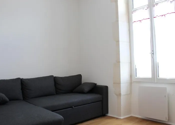 Maison De Maître à Saint-georges-d'oléron - 18 Couchages - Animaux Admis - Fr-1-246a-61 * Saint-Georges-d'Oleron